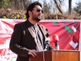 Pakistan, Turkey need to play role for promotion of Islamic ideology