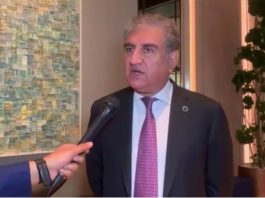 Pakistan continues to work with SAARC to tackle Covid-19: FM