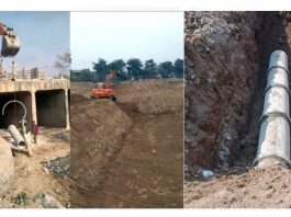 The administration of Capital Development Authority has made wetland project of Rose and Jasmine Garden co-functional