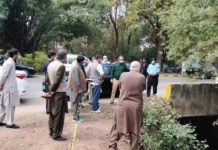 Chairman Capital Development Authority (CDA) has directed to plant more roses and seasonal flowering plants in Rose and Jasmine Garden