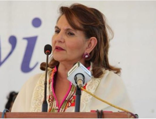 Nowruz promotes values of peace, solidarity: Samina Alv