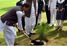 PM to launch countrywide monsoon plantation drive today