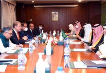 Pakistan, Saudi Arabia agree to further improve bilateral ties in diverse areas