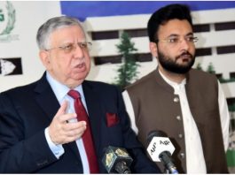 Govt making efforts to mitigate impact of increased prices at int’l market: Farrukh
