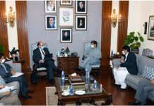 Ground breaking ceremony of Yellow Line BRT Corridor to be performed next month: Murad