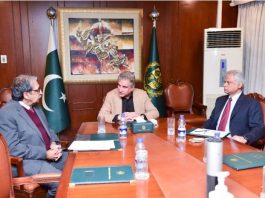 Pakistan extending maximum facilities including on-arrival visa to tourists: Qureshi
