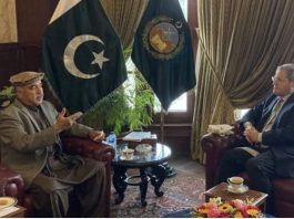 KP offers immense investment opportunities in diverse sectors: Governor
