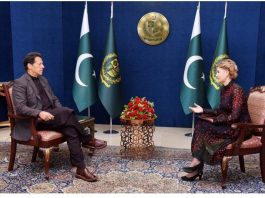 Pakistan prefers trade ties over joining regional blocs: PM