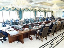 Cabinet approves formulation of separate judicial system for Overseas Pakistanis