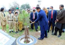 Massive forestation crucial to save future generations: PM