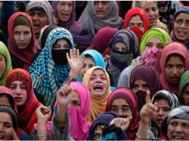 Kunan, Poshpora tragedy planned to keep Kashmiri women away from freedom struggle: Naqash