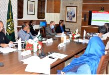 Omar Ayub Khan emphasizes timely completion of foreign funded projects in Punjab