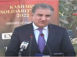 India committing massive human rights violations in IIOJ&K: FM