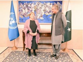 Pakistan to continue cooperation with UN human rights machinery: FM