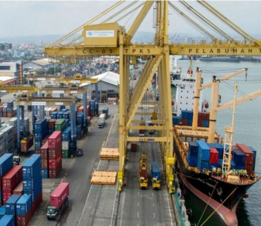 Shipping Activity at Port Qasim