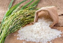 Pakistan’s rice export to China crosses $225 million in first quarter of 2022