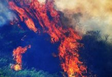 Army assisting civil administration in extinguishing fire on Malgalla Hills