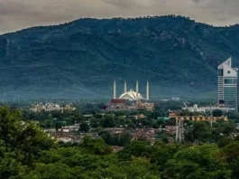 CDA to auction 58 plots next month
