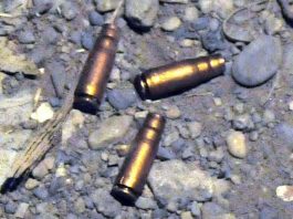 Four policemen injured in DI Khan terror attack