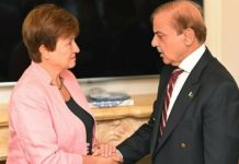 Govt to complete terms of IMF programme, vows PM Shehbaz