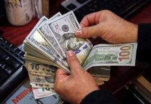 90pc greenback being hoarded in country: FBR member