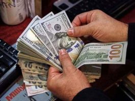 90pc greenback being hoarded in country: FBR member