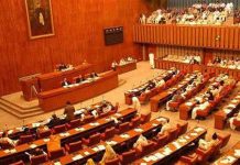 Opposition leader’s remarks create ruckus in Senate