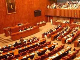 Opposition leader’s remarks create ruckus in Senate