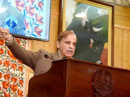 Pakistan’s economic strength vital for Kashmir’s fight for freedom: PM Shehbaz