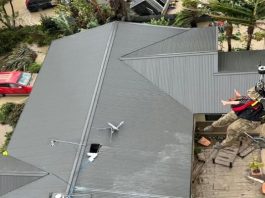 Survivors plucked from rooftops as New Zealand cyclone kills four