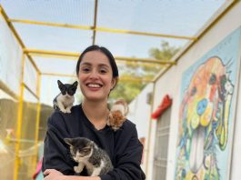 Karachi (TNS) : ACF Animal Rescue Responds to False Accusations with a Strong Statement