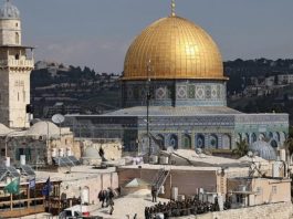 Palestin (TNS) : Statement issued by the Palestinian Ministry of Foreign Affairs and Expatriates