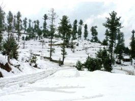 Malam Jabba (TNS) : Malam Jabba’s snow blanketed as tourists throng hilly stations in Pakhtunkhwa