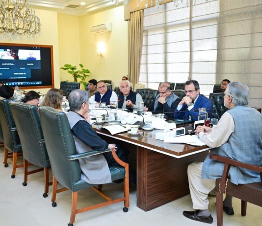 Islamabad(TNS): Deputy Prime Minister chairs the meeting of Chairpersons of the Boards of Directors of DISCOs