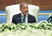 ISLAMABAD (TNS) PM Shehbaz to attend D-8 Summit in Egypt, focus on youth, SMEs