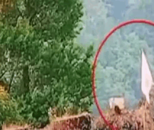 Muzaffarabad (TNS) India raises white flag after Pakistan’s fierce counterattack