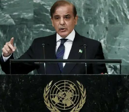ISLAMABAD (TNS) Kashmir issue highlighted at international level due to efforts of Prime Minister of Pakistan