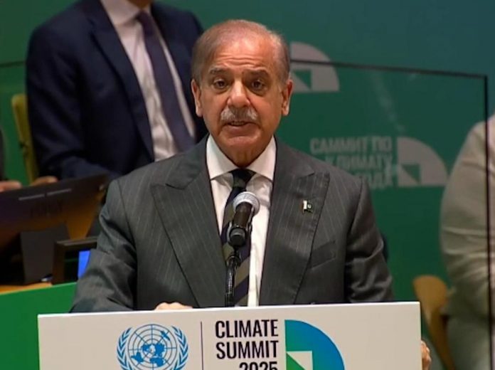 WhatsApp Image 2025-11-04 at 08.19.36_54e0fd77