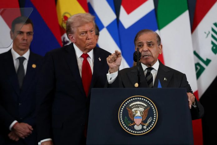 WhatsApp Image 2025-11-20 at 8.10.52 AM