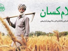 ISLAMABAD (TNS) Farmers are the main pillar of Pakistan’s economy….?