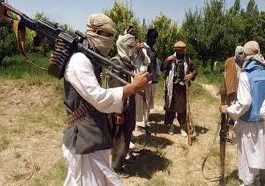 ISLAMABAD (TNS) Pakistan expresses concern over the presence of extremist groups in Afghanistan