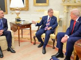 ISLAMABAD (TNS) Pakistan Army Ready for Peace in Gaza?