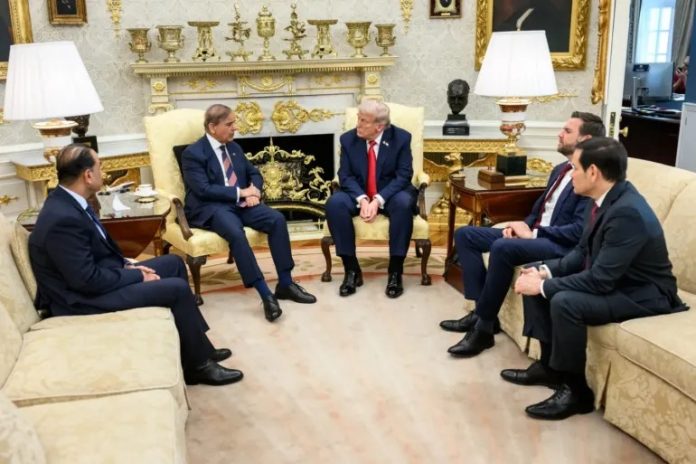 WhatsApp Image 2026-03-26 at 1.10.53 AM (1)