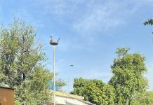 ISLAMABAD (TNS) SSP Operations visits Imambargah G-6, inspects security and deployment plan