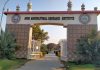 Faisalabad (TNS) Dr. Khunsa Khakwani is a Senior Scientist specializing in cotton research and varietal development at the Cotton Research Station (CRS), Ayub Agricultural Research Institute (AARI) in Faisalabad