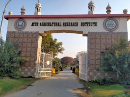 Faisalabad (TNS) Dr. Khunsa Khakwani is a Senior Scientist specializing in cotton research and varietal development at the Cotton Research Station (CRS), Ayub Agricultural Research Institute (AARI) in Faisalabad
