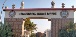 Faisalabad (TNS) Dr. Khunsa Khakwani is a Senior Scientist specializing in cotton research and varietal development at the Cotton Research Station (CRS), Ayub Agricultural Research Institute (AARI) in Faisalabad