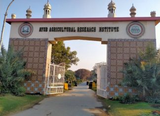 Faisalabad (TNS) Dr. Khunsa Khakwani is a Senior Scientist specializing in cotton research and varietal development at the Cotton Research Station (CRS), Ayub Agricultural Research Institute (AARI) in Faisalabad