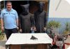 Islamabad (TNS) 36 outlaws arrested; drugs and weapons recovered
