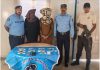 Islamabad (TNS) In extensive police operations against criminal elements, Islamabad Police arrested 768 suspects over a period of two weeks and recovered stolen goods worth more than Rs 217.5 million